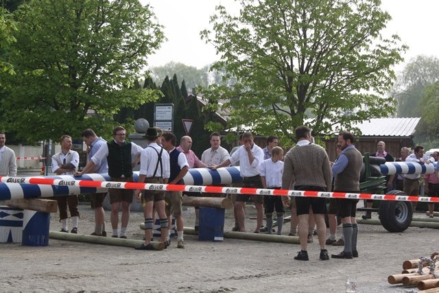Maibaum 2013